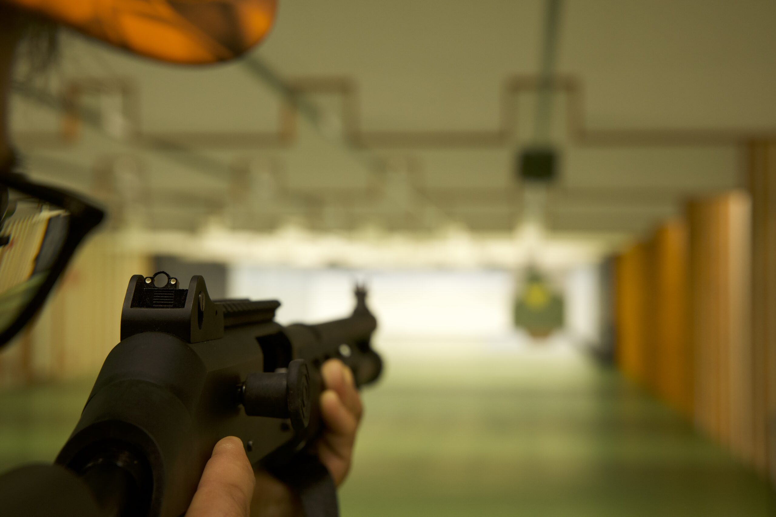 Strzelanie do tarczy Strzelanie do tarczy